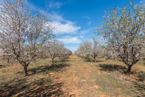 Villa i Murcia, Murcia, Murcia - € 315.000 | Ref: ff6a6dd6-8ca0-4c40-b - foto 43