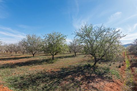 Villa i Murcia, Murcia, Murcia - € 315.000 | Ref: ff6a6dd6-8ca0-4c40-b - foto 44