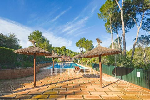Byhus i Cala Vinyes, Mallorca, Cala Vinyes - € 795.000 | Ref: 1197 - foto 17