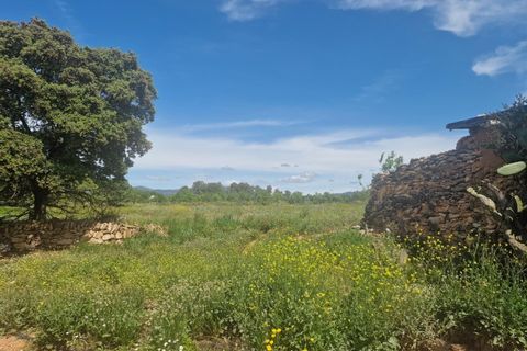 Tomt i Valls, Tarragona, Valls - € 35 300 | Ref: EXP12543/8930 - foto 2