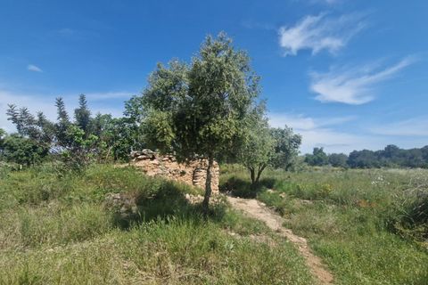 Tomt i Valls, Tarragona, Valls - € 35 300 | Ref: EXP12543/8930 - foto 4
