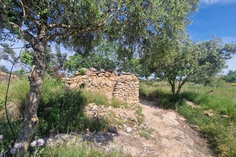 Tomt i Valls, Tarragona, Valls - € 35 300 | Ref: EXP12543/8930 - foto 5