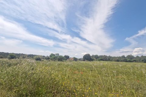 Tomt i Valls, Tarragona, Valls - € 35 300 | Ref: EXP12543/8930 - foto 21