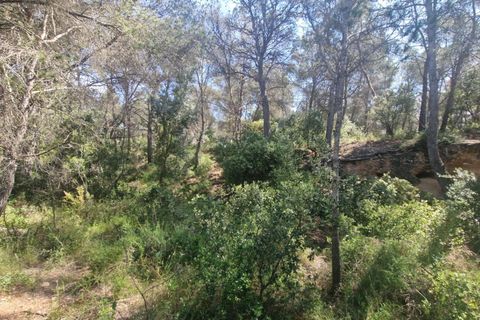 Tomt i Valls, Tarragona, Valls - € 35 300 | Ref: EXP12543/8930 - foto 30