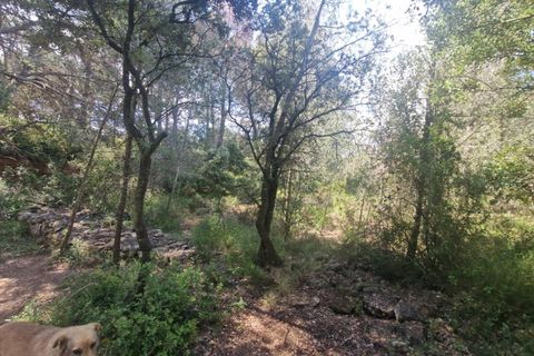 Tomt i Valls, Tarragona, Valls - € 35 300 | Ref: EXP12543/8930 - foto 31