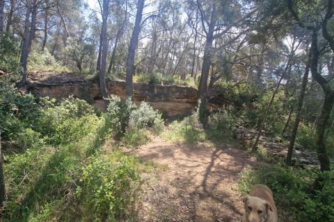 Tomt i Valls, Tarragona, Valls - € 35 300 | Ref: EXP12543/8930 - foto 32