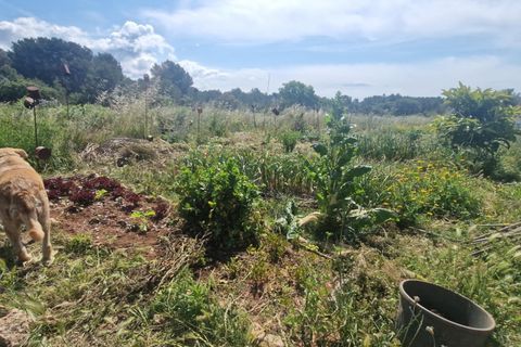 Tomt i Valls, Tarragona, Valls - € 35 300 | Ref: EXP12543/8930 - foto 40
