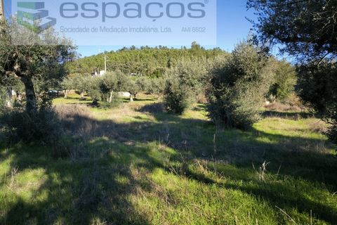 Helårsgrund i Castelo Branco, Castelo Branco, Castelo Branco - € 16.500 | Ref: 5653/EG - foto 3