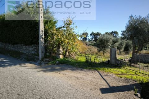 Helårsgrund i Castelo Branco, Castelo Branco, Castelo Branco - € 16.500 | Ref: 5653/EG - foto 7