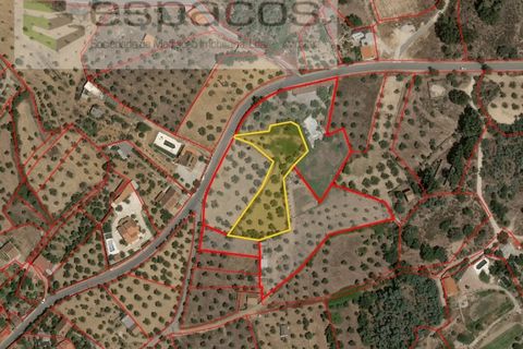 Helårsgrund i Castelo Branco, Castelo Branco, Castelo Branco - € 16.500 | Ref: 5653/EG - foto 8