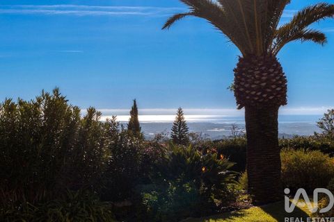 Byhus i Faro, Faro, Faro - € 2.330.000 | Ref: 786445 - foto 6