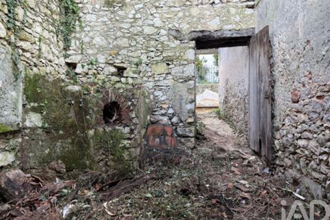 Byhus i Leiria, Leiria, Leiria - € 89.000 | Ref: 784519 - foto 20