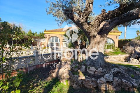 Villa a Lliria, Valencia, Lliria - € 420.000 | Ref: 2005VE - foto 41