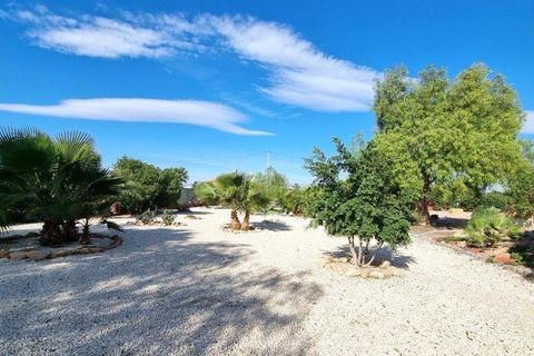 Villa i Catral, Alicante, Catral - € 829.000 | Ref: 5271-45 - foto 36