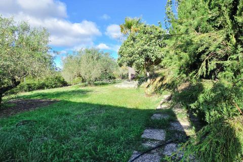 Villa a Benicolet, Valencia, Benicolet - € 295.000 | Ref: Balcon de Benicolet - foto 46