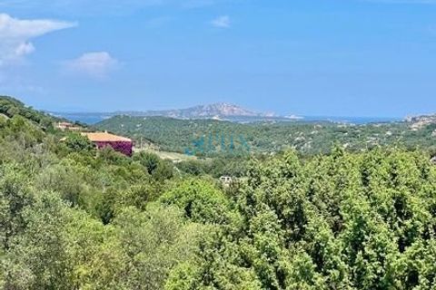 Villa i Arzachena, Sassari, Arzachena - € 1.950.000 | Ref: 1332 - foto 35