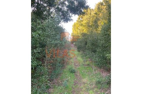 Helårsgrund i Penafiel, Porto, Penafiel - € 89.000 | Ref: 2 - foto 4
