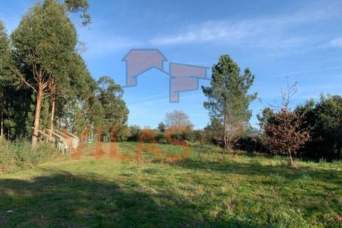 Helårsgrund i Penafiel, Porto, Penafiel - € 89.000 | Ref: 2 - foto 6