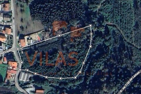 Helårsgrund i Penafiel, Porto, Penafiel - € 89.000 | Ref: 2 - foto 13