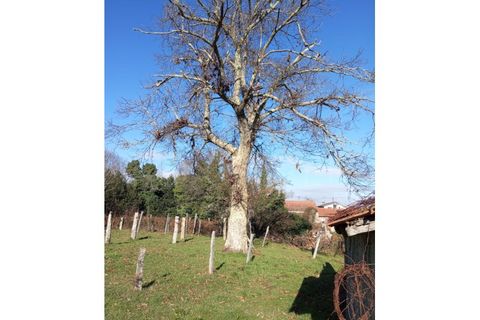 Villa i Troporiz e Lapela, Viana do Castelo, Troporiz e Lapela - € 76.500 | Ref: UNU-F2-03-71 - foto 6