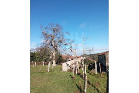 Villa i Troporiz e Lapela, Viana do Castelo, Troporiz e Lapela - € 76.500 | Ref: UNU-F2-03-71 - foto 8