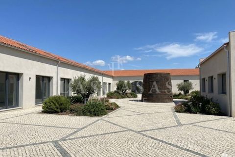 Erhvervsejendom i Vila Cha de Ourique, Santarem, Vila Cha de Ourique - € 5.200.000 | Ref: 01-2026 - foto 14