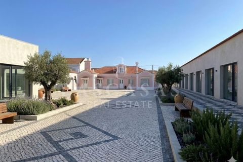 Erhvervsejendom i Vila Cha de Ourique, Santarem, Vila Cha de Ourique - € 5.200.000 | Ref: 01-2026 - foto 15