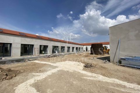 Erhvervsejendom i Vila Cha de Ourique, Santarem, Vila Cha de Ourique - € 5.200.000 | Ref: 01-2026 - foto 21