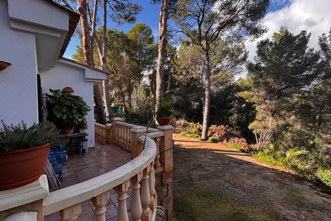 Villa i Nova Santa Ponsa, Mallorca, Nova Santa Ponsa - € 1.250.000 | Ref: 83047 - foto 8