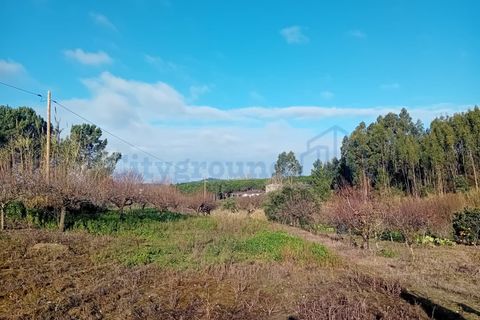 Helårsgrund i Leiria, Leiria, Leiria - € 97.500 | Ref: 6104 - foto 1