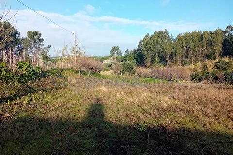 Helårsgrund i Leiria, Leiria, Leiria - € 97.500 | Ref: 6104 - foto 3