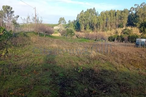 Helårsgrund i Leiria, Leiria, Leiria - € 97.500 | Ref: 6104 - foto 4