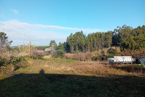 Helårsgrund i Leiria, Leiria, Leiria - € 97.500 | Ref: 6104 - foto 5