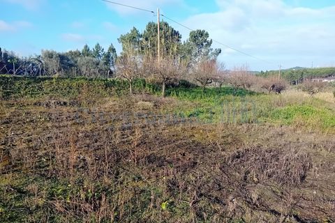 Helårsgrund i Leiria, Leiria, Leiria - € 97.500 | Ref: 6104 - foto 6