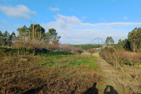 Helårsgrund i Leiria, Leiria, Leiria - € 97.500 | Ref: 6104 - foto 7
