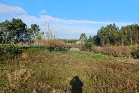 Helårsgrund i Leiria, Leiria, Leiria - € 97.500 | Ref: 6104 - foto 8