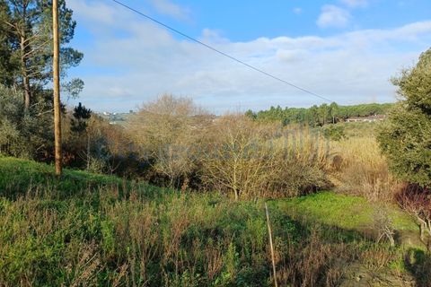 Helårsgrund i Leiria, Leiria, Leiria - € 97.500 | Ref: 6104 - foto 9