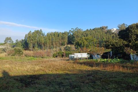 Helårsgrund i Leiria, Leiria, Leiria - € 97.500 | Ref: 6104 - foto 11