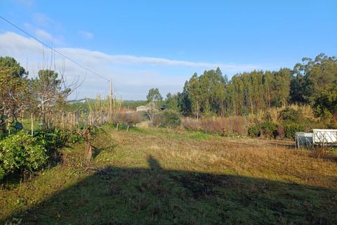 Helårsgrund i Leiria, Leiria, Leiria - € 97.500 | Ref: 6104 - foto 12