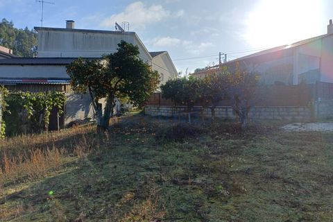 Helårsgrund i Leiria, Leiria, Leiria - € 97.500 | Ref: 6104 - foto 13