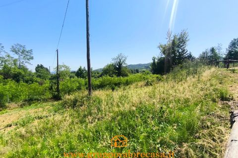 Villa i Visone, Alessandria, Visone - € 45.000 | Ref: 86640307 - foto 20