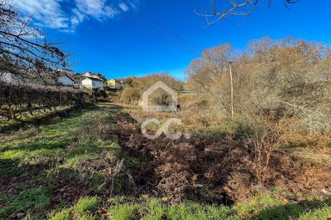 Helårsgrund i Viseu, Viseu, Viseu - € 115.000 | Ref: 353/T/02501 - foto 3