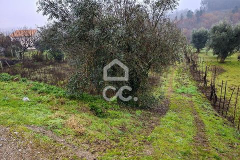 Helårsgrund i Fragosela, Viseu, Fragosela - € 48.000 | Ref: 353/T/02502 - foto 2