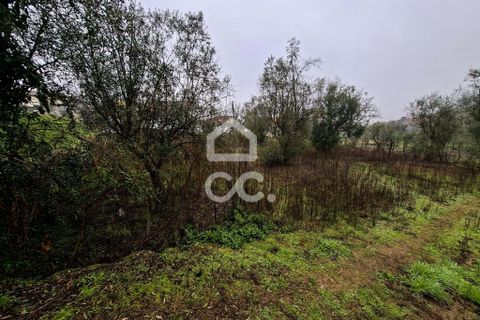 Helårsgrund i Fragosela, Viseu, Fragosela - € 48.000 | Ref: 353/T/02502 - foto 3