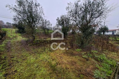Helårsgrund i Fragosela, Viseu, Fragosela - € 48.000 | Ref: 353/T/02502 - foto 4