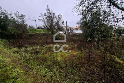 Helårsgrund i Fragosela, Viseu, Fragosela - € 48.000 | Ref: 353/T/02502 - foto 5