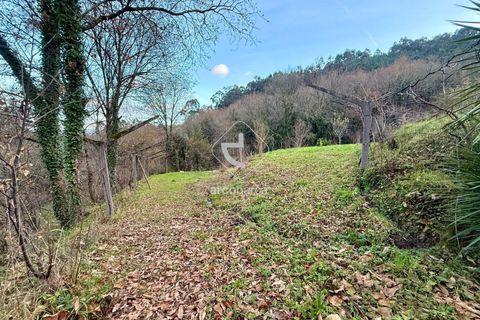 Tomt i Arcos de Valdevez, Viana do Castelo, Arcos de Valdevez - € 25 000 | Ref: AV6579 - foto 2