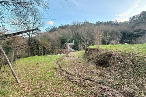 Tomt i Arcos de Valdevez, Viana do Castelo, Arcos de Valdevez - € 25 000 | Ref: AV6579 - foto 3