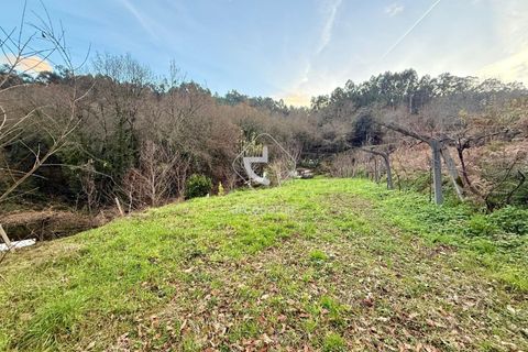 Tomt i Arcos de Valdevez, Viana do Castelo, Arcos de Valdevez - € 25 000 | Ref: AV6579 - foto 4