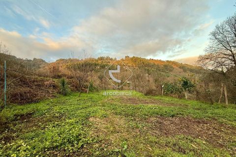 Tomt i Arcos de Valdevez, Viana do Castelo, Arcos de Valdevez - € 25 000 | Ref: AV6579 - foto 6